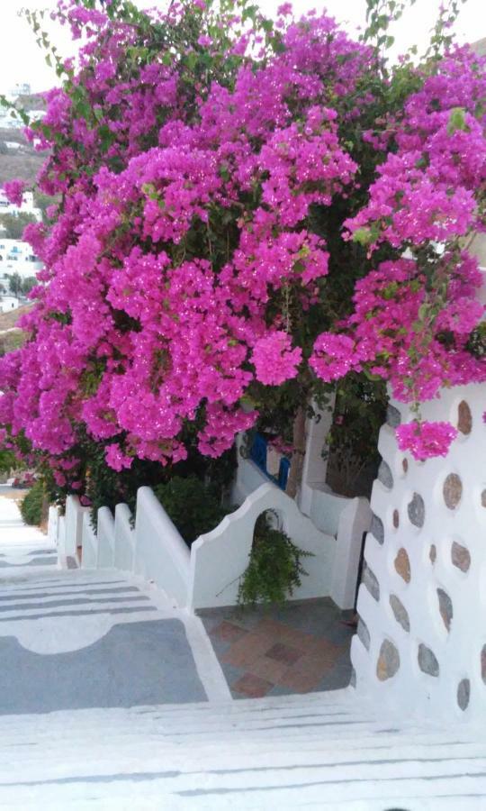 Butterfly View Suites Astypálaia 外观 照片